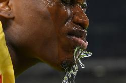 （体育）足球——意甲：AC米兰胜佛罗伦萨